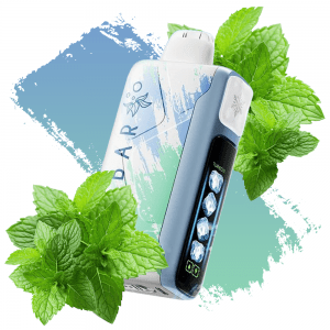 ELF BAR ICE KING - MIAMI MINT