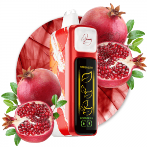 ELF BAR NIC KING - POMEGRANATE BURST