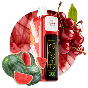 ELF BAR NIC KING - WATERMELON CHERRY