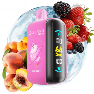 ELF BAR RAYA - PEACH BERRY