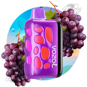 VOZOL RAVE - GRAPE ICE