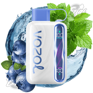 VOZOL STAR - BLUEBERRY MINT