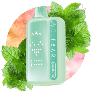 ELF BAR BC45000 - DOUBLE MINT