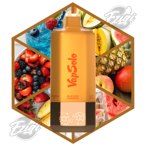 VAPSOLO SIXER - BLUE RAZZ LEMONADE & CHERRY BERRY & STRAWBERRY BANANA & TRIPLE MELON & PEACH MANGO PINEAPPLE & WATERMELON ICE